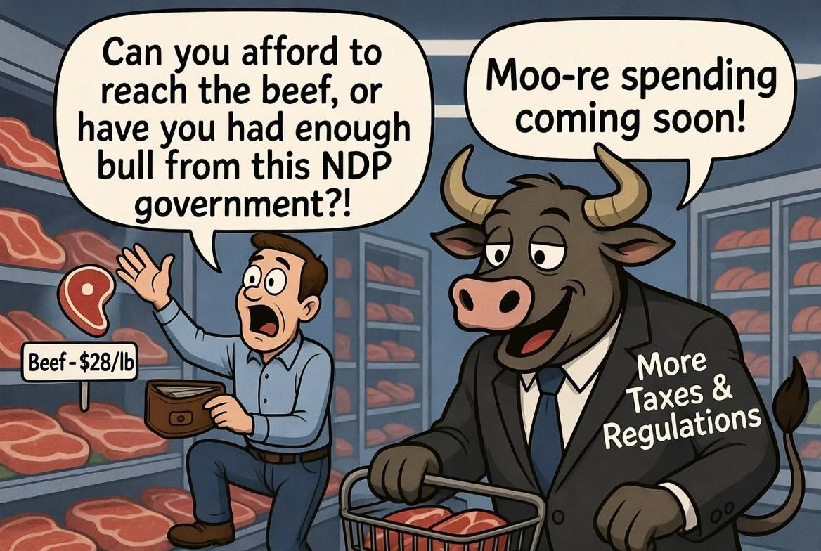 Cartoon of shopper reacting to expensive beef while a bull labelled More Taxes and Regulations says more spending is coming soon